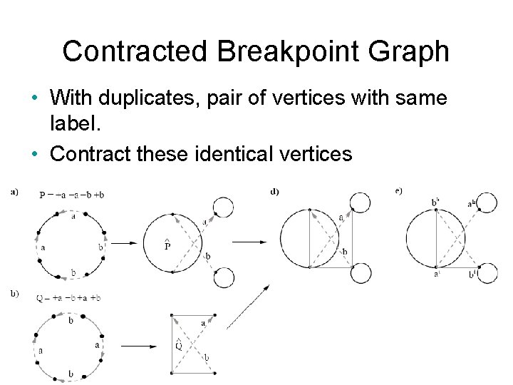 Contracted Breakpoint Graph • With duplicates, pair of vertices with same label. • Contract