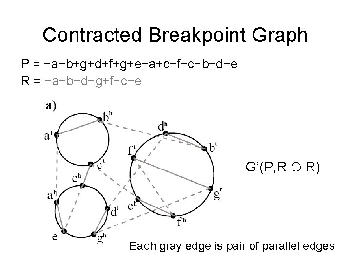 Contracted Breakpoint Graph P = −a−b+g+d+f+g+e−a+c−f−c−b−d−e R = −a−b−d−g+f−c−e G’(P, R R) Each gray