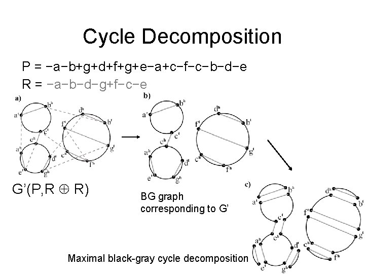 Cycle Decomposition P = −a−b+g+d+f+g+e−a+c−f−c−b−d−e R = −a−b−d−g+f−c−e G’(P, R R) BG graph corresponding