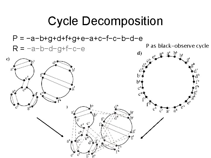 Cycle Decomposition P = −a−b+g+d+f+g+e−a+c−f−c−b−d−e R = −a−b−d−g+f−c−e P as black-observe cycle 
