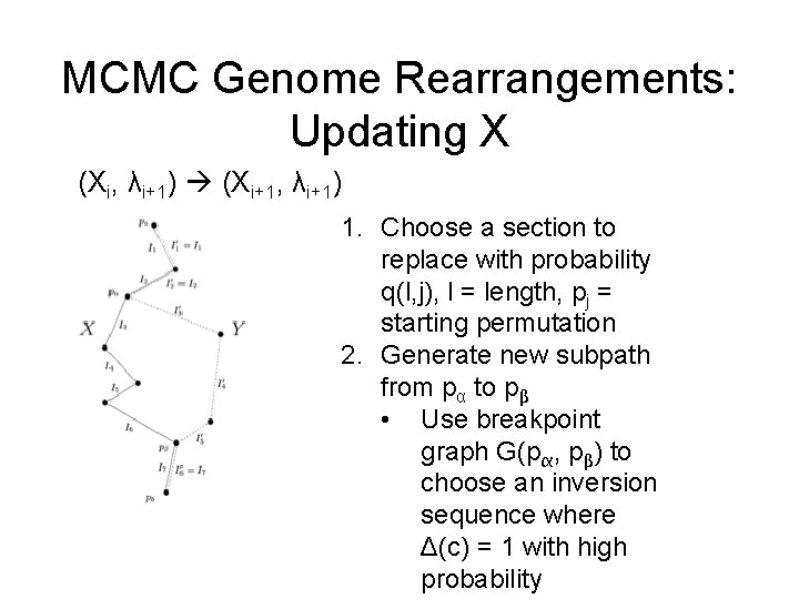 MCMC Genome Rearrangements: Updating X (Xi, λi+1) (Xi+1, λi+1) 1. Choose a section to