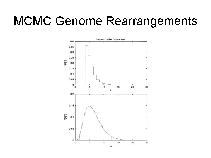 MCMC Genome Rearrangements 