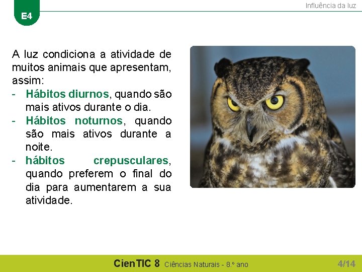 Influência da luz E 4 A luz condiciona a atividade de muitos animais que