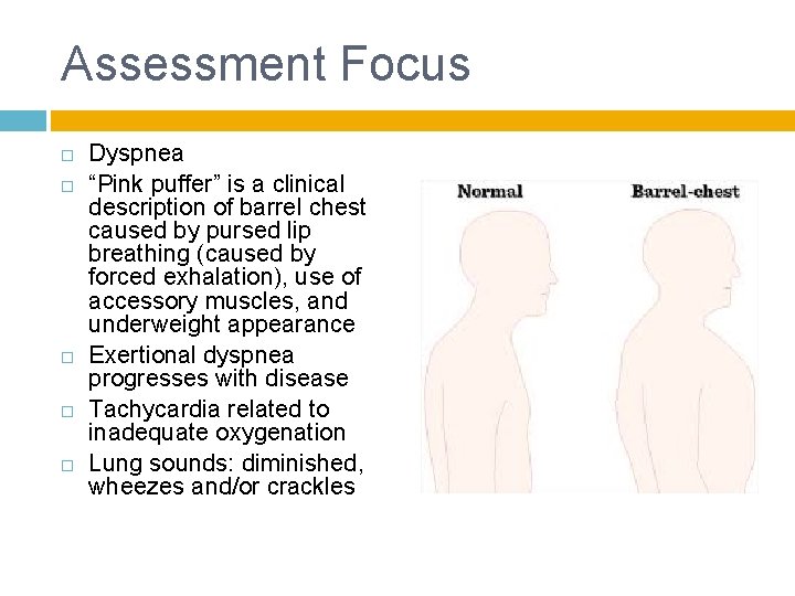 Assessment Focus Dyspnea “Pink puffer” is a clinical description of barrel chest caused by