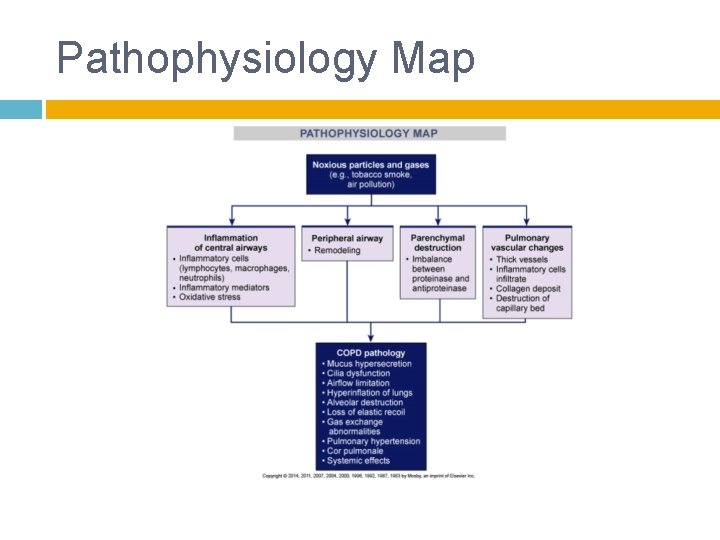 Pathophysiology Map 