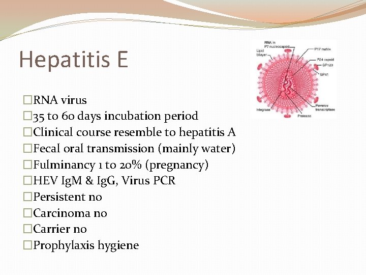 Hepatitis E �RNA virus � 35 to 60 days incubation period �Clinical course resemble