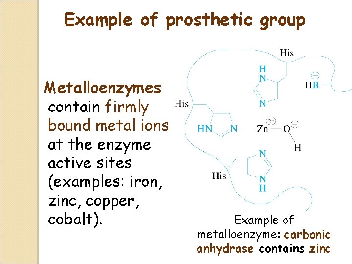 Example of prosthetic group Metalloenzymes contain firmly bound metal ions at the enzyme active