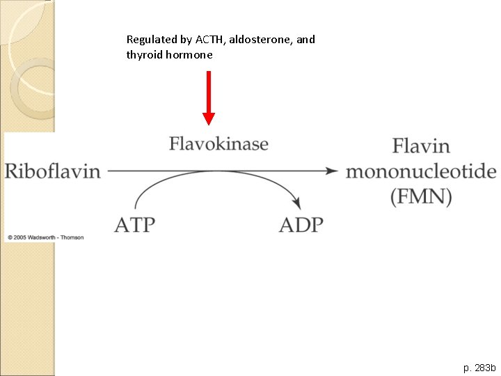 Regulated by ACTH, aldosterone, and thyroid hormone p. 283 b 