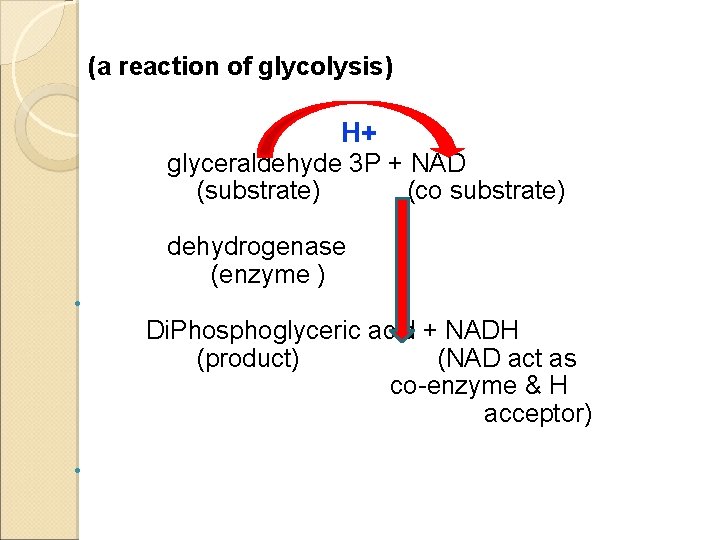 (a reaction of glycolysis) H+ glyceraldehyde 3 P + NAD (substrate) (co substrate) dehydrogenase