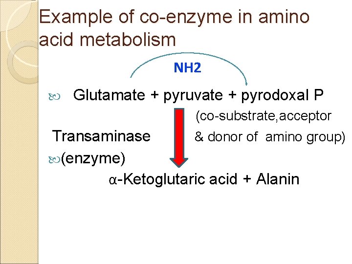 Example of co-enzyme in amino acid metabolism NH 2 Glutamate + pyruvate + pyrodoxal