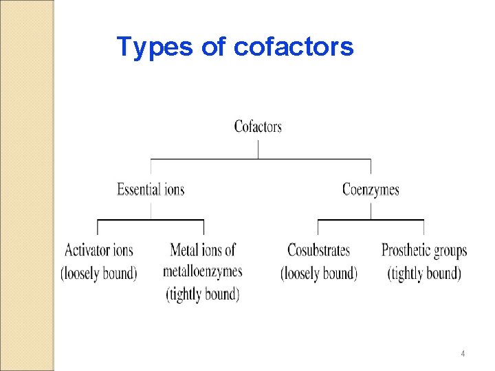 Types of cofactors 4 