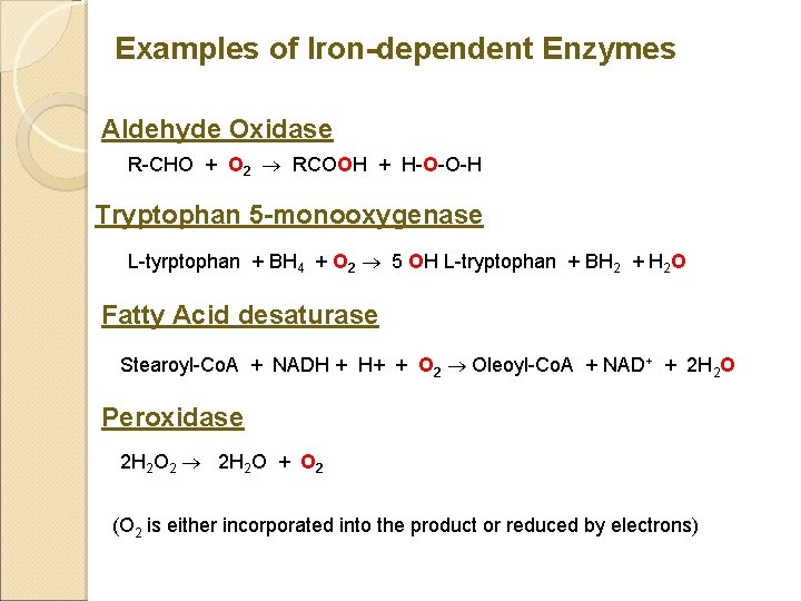 Examples of Iron-dependent Enzymes Aldehyde Oxidase R-CHO + O 2 RCOOH + H-O-O-H Tryptophan