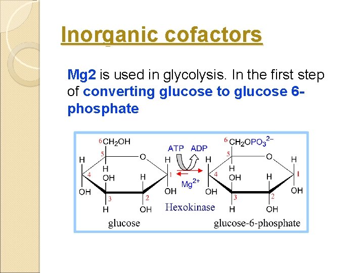 Inorganic cofactors Mg 2 is used in glycolysis. In the first step of converting