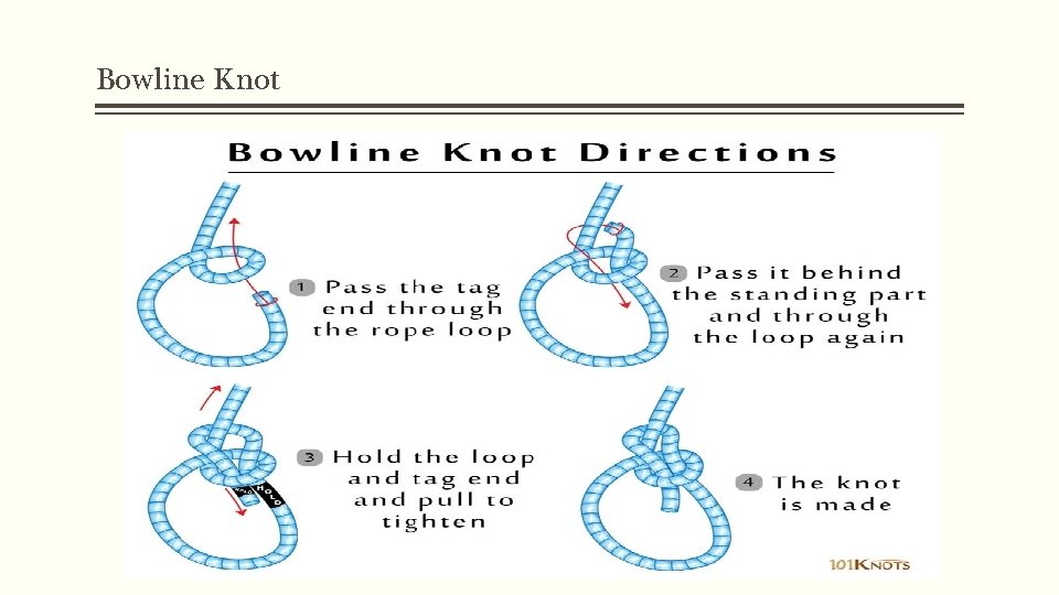 Bowline Knot 