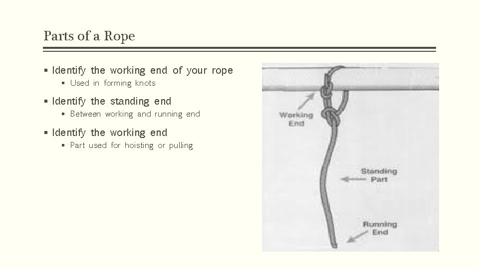 Parts of a Rope § Identify the working end of your rope § Used