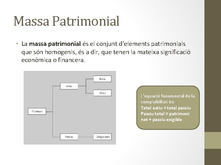 Massa Patrimonial • La massa patrimonial és el conjunt d’elements patrimonials que són homogenis,