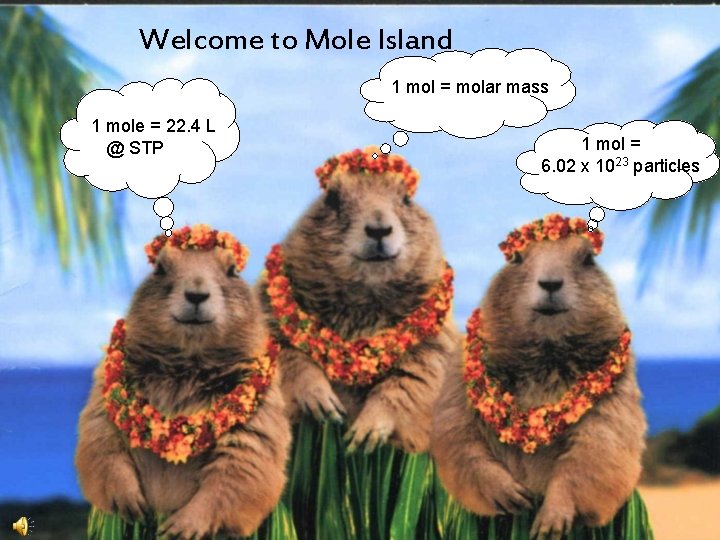Welcome to Mole Island 1 mol = molar mass 1 mole = 22. 4