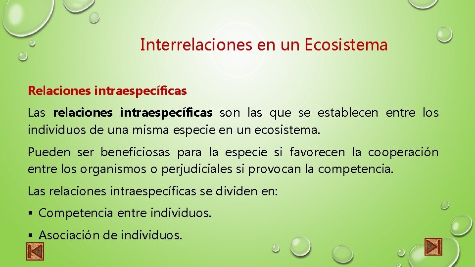 Interrelaciones en un Ecosistema Relaciones intraespecíficas Las relaciones intraespecíficas son las que se establecen