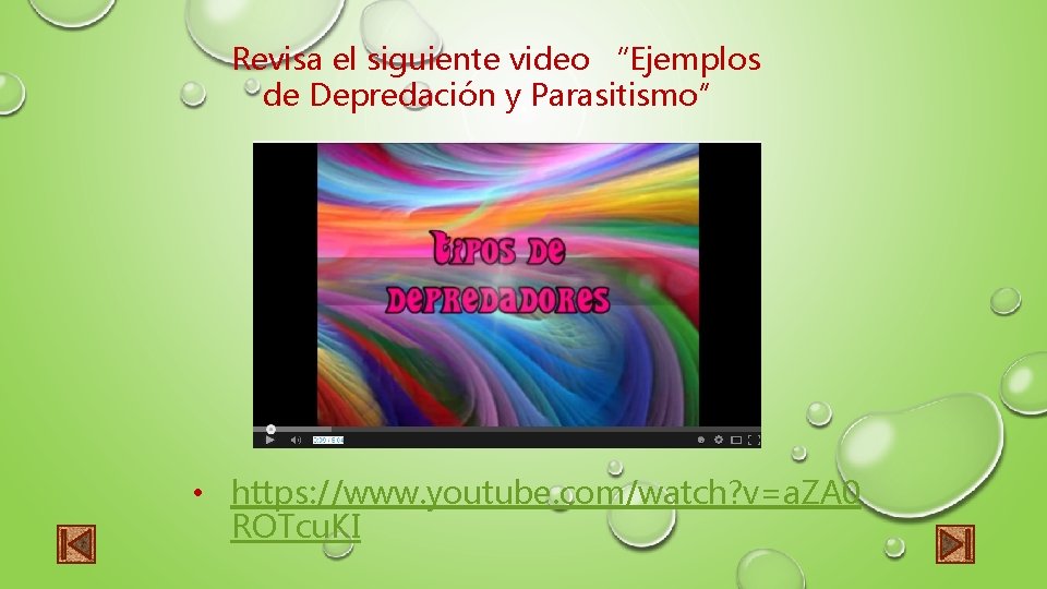 Revisa el siguiente video “Ejemplos de Depredación y Parasitismo” • https: //www. youtube. com/watch?