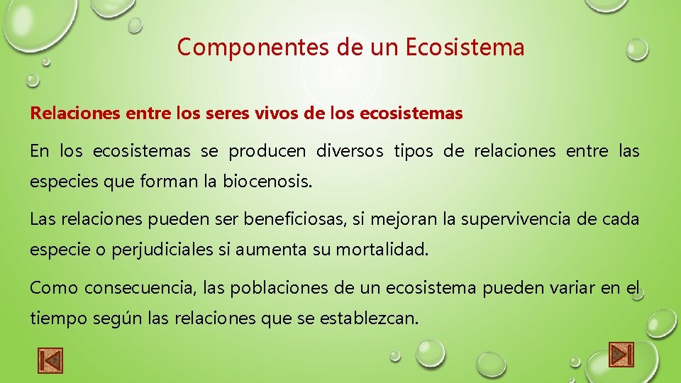 Componentes de un Ecosistema Relaciones entre los seres vivos de los ecosistemas En los