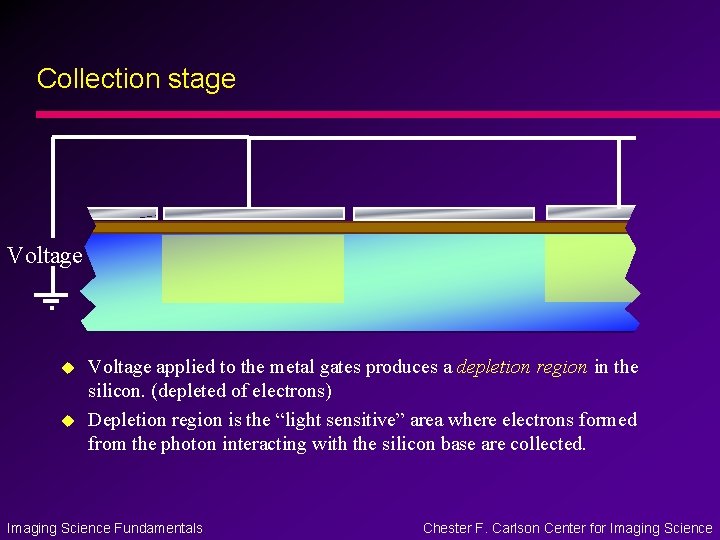 Collection stage Voltage u u Voltage applied to the metal gates produces a depletion