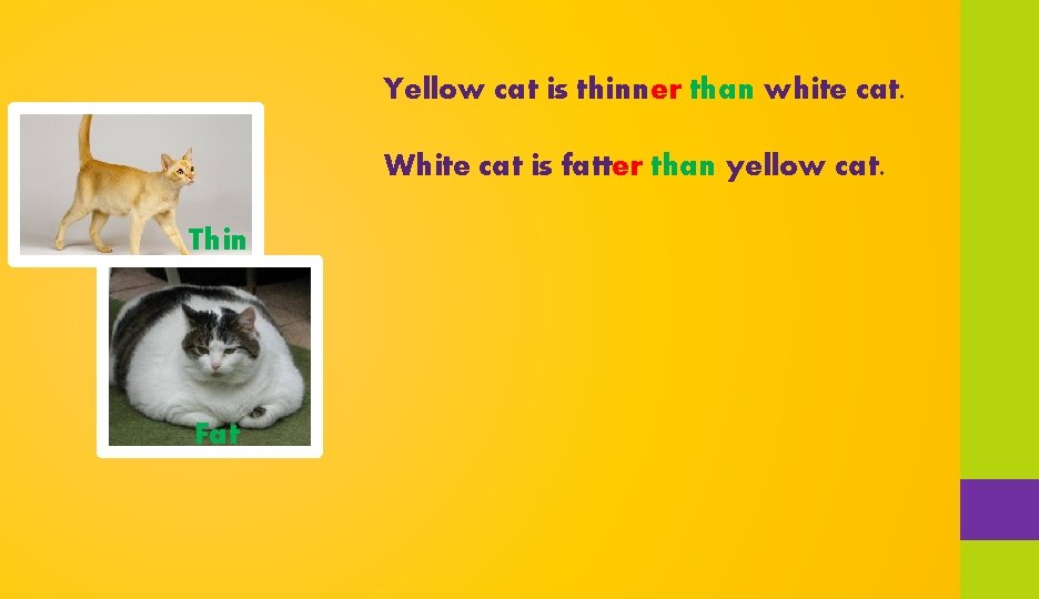 Yellow cat is thinner than white cat. White cat is fatter than yellow cat.