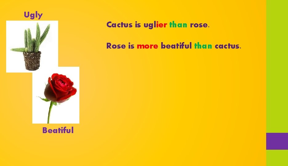 Ugly Cactus is uglier than rose. Rose is more beatiful than cactus. Beatiful 