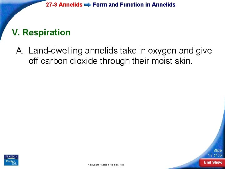 27 -3 Annelids Form and Function in Annelids V. Respiration A. Land-dwelling annelids take