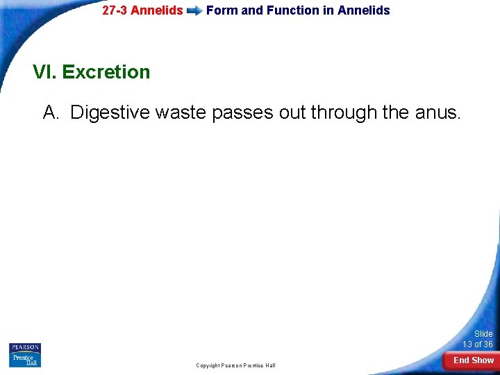 27 -3 Annelids Form and Function in Annelids VI. Excretion A. Digestive waste passes