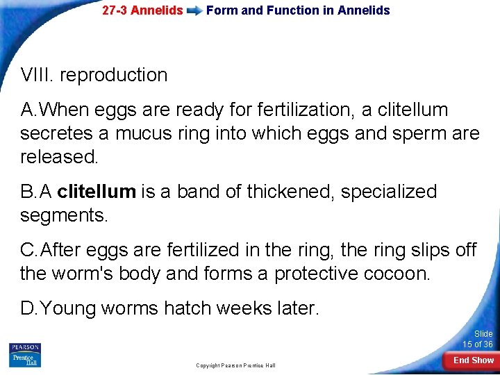 27 -3 Annelids Form and Function in Annelids VIII. reproduction A. When eggs are