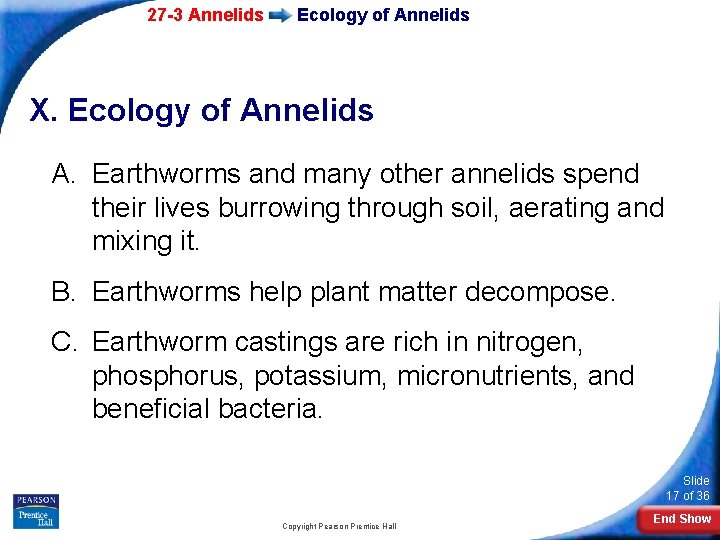 27 -3 Annelids Ecology of Annelids X. Ecology of Annelids A. Earthworms and many