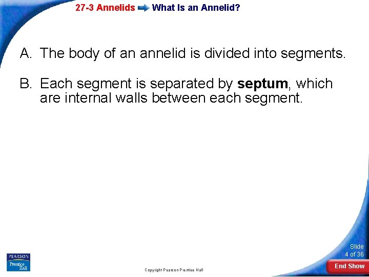 27 -3 Annelids What Is an Annelid? A. The body of an annelid is