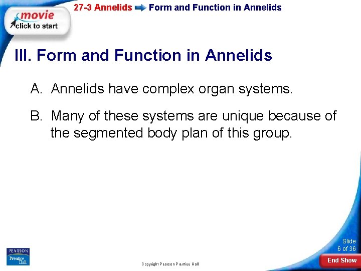 27 -3 Annelids Form and Function in Annelids III. Form and Function in Annelids