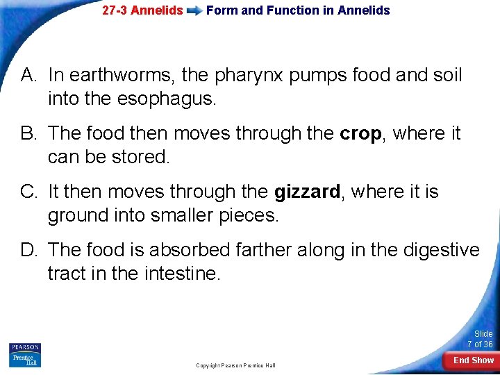 27 -3 Annelids Form and Function in Annelids A. In earthworms, the pharynx pumps