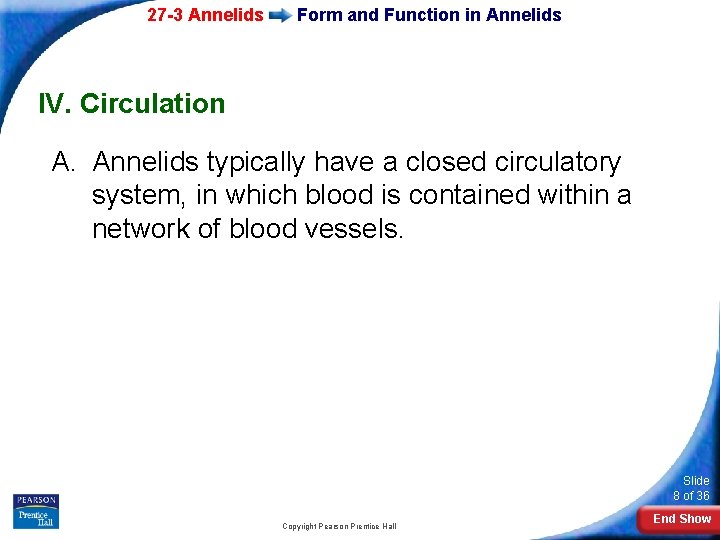 27 -3 Annelids Form and Function in Annelids IV. Circulation A. Annelids typically have