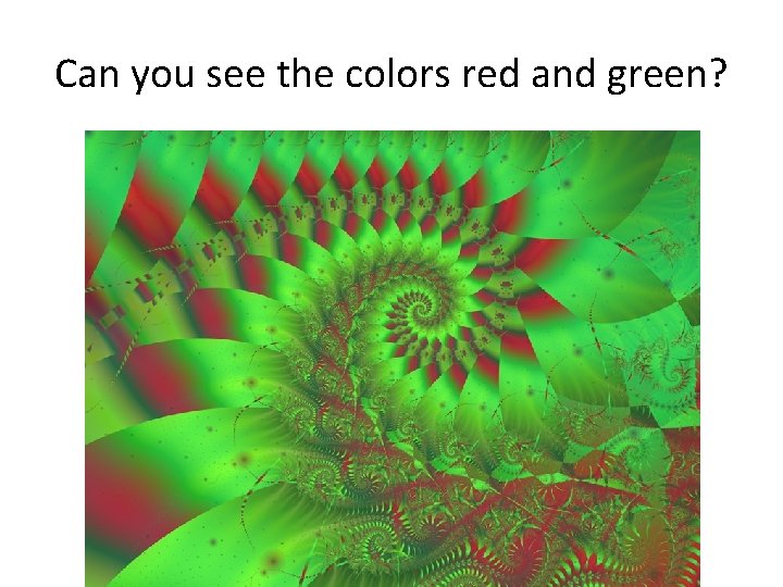 Can you see the colors red and green? Can you see the colors red and green?