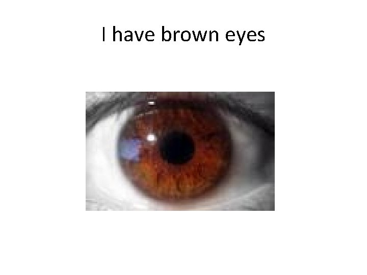 I have brown eyes I have brown eyes