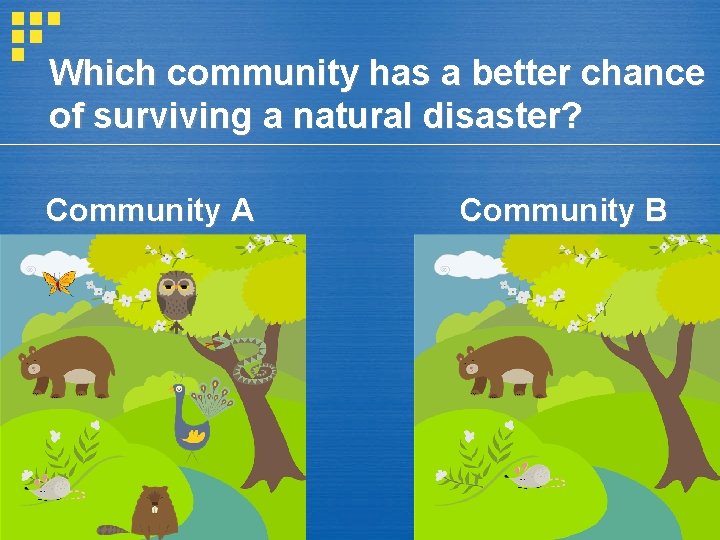 Which community has a better chance of surviving a natural disaster? Community A Community Which community has a better chance of surviving a natural disaster? Community A Community
