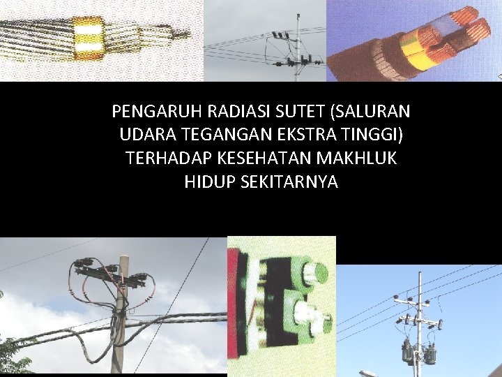 PENGARUH RADIASI SUTET (SALURAN UDARA TEGANGAN EKSTRA TINGGI) TERHADAP KESEHATAN MAKHLUK HIDUP SEKITARNYA 1/14/2022