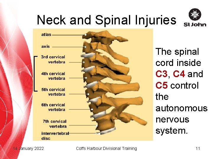 Neck and Spinal Injuries The spinal cord inside C 3, C 4 and C