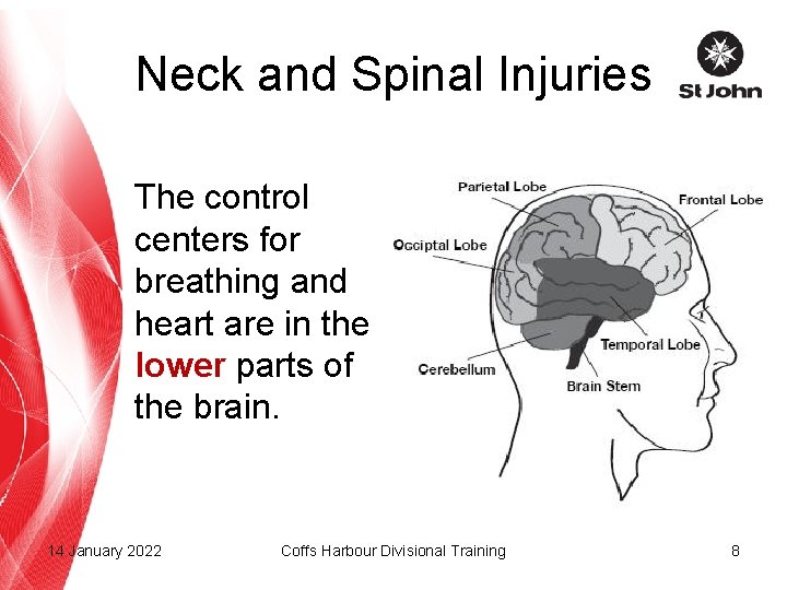 Neck and Spinal Injuries The control centers for breathing and heart are in the