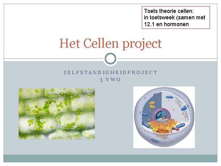 Toets theorie cellen: in toetsweek (samen met 12. 1 en hormonen Het Cellen project Toets theorie cellen: in toetsweek (samen met 12. 1 en hormonen Het Cellen project