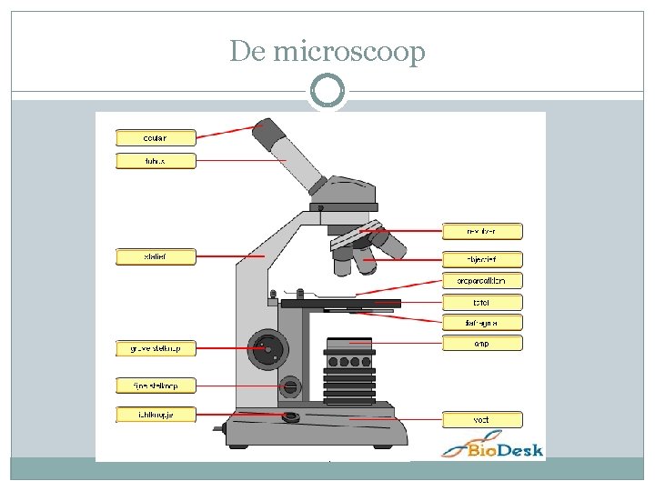 De microscoop De microscoop