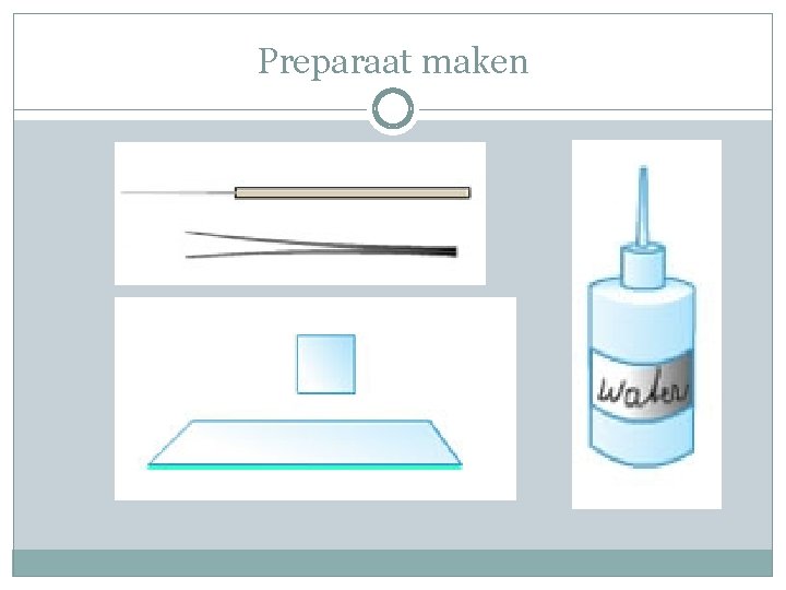 Preparaat maken Preparaat maken