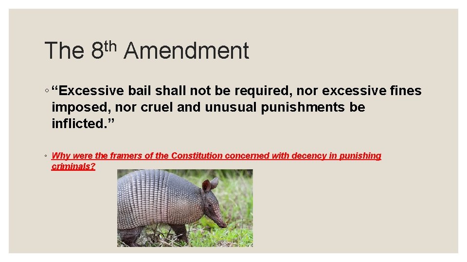 The th 8 Amendment ◦ “Excessive bail shall not be required, nor excessive fines