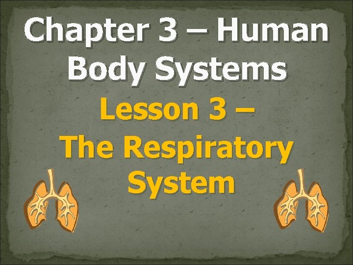 Chapter 3 – Human Body Systems Lesson 3 – The Respiratory System 