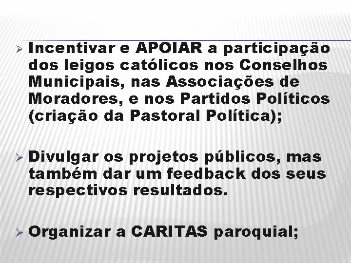 Ø Ø Ø Incentivar e APOIAR a participação dos leigos católicos nos Conselhos Municipais,