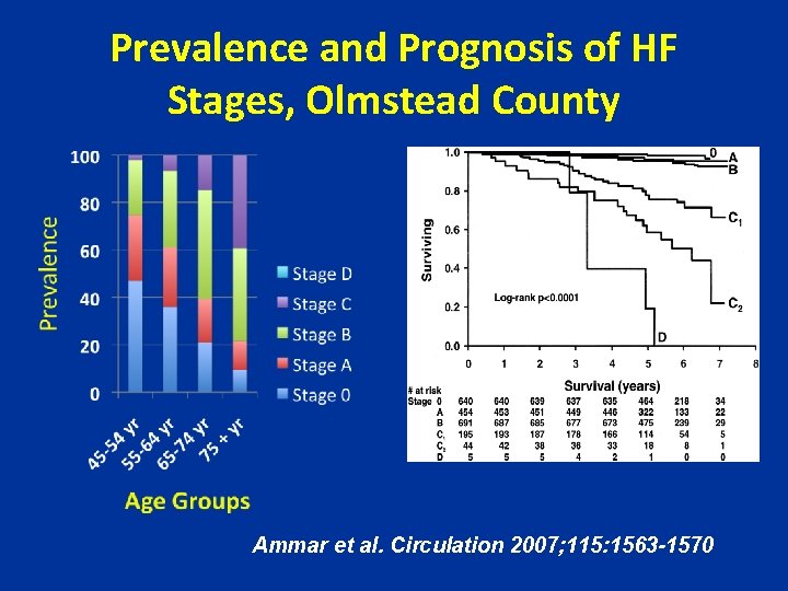 Prevalence and Prognosis of HF Stages, Olmstead County Ammar et al. Circulation 2007; 115: