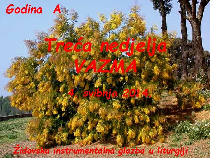 Godina A Treća nedjelja VAZMA 4. svibnja 2014. Židovska instrumentalna glazba u liturgiji 