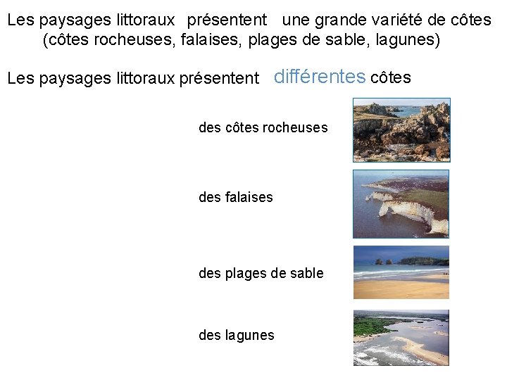 Les paysages littoraux présentent une grande variété de côtes (côtes rocheuses, falaises, plages de